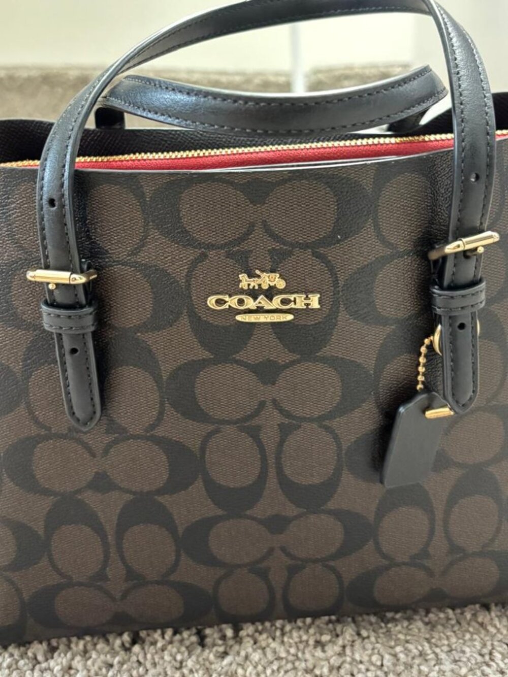 Coach Mollie Tote Bag 25
